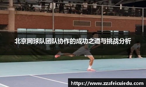 北京网球队团队协作的成功之道与挑战分析
